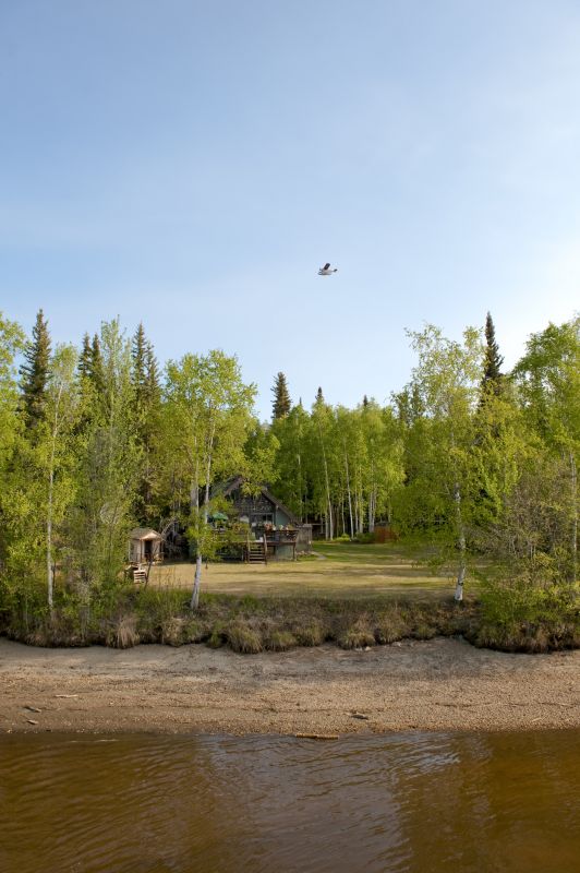 Who Does Land Clearings