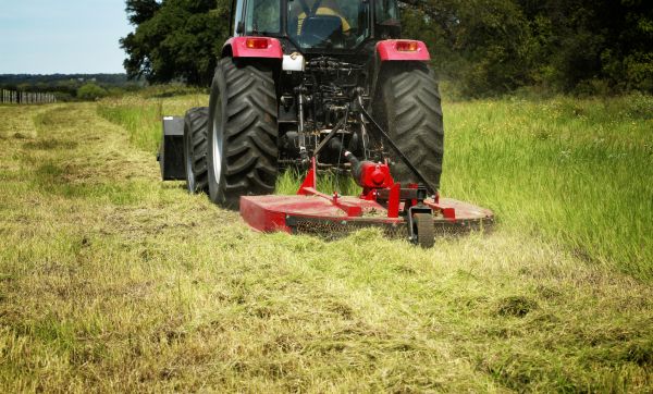 Brush Clearing Service in Hollywood