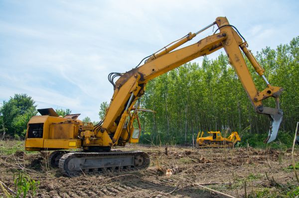 Farm Clearing in Hollywood