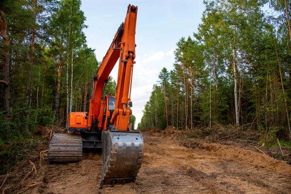 Backhoe Land Clearing in Hollywood
