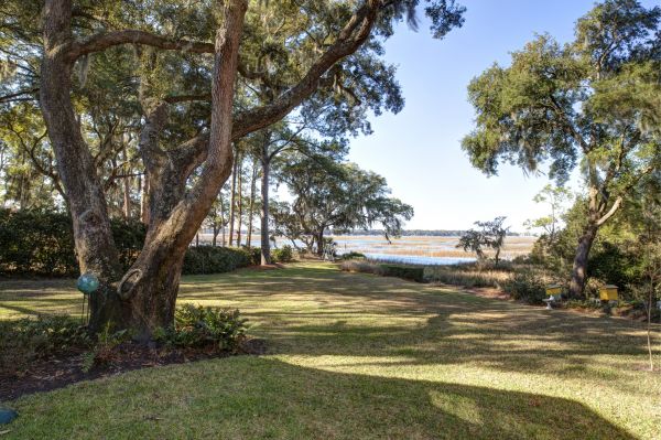 Lakefront Property Clearing in Hollywood