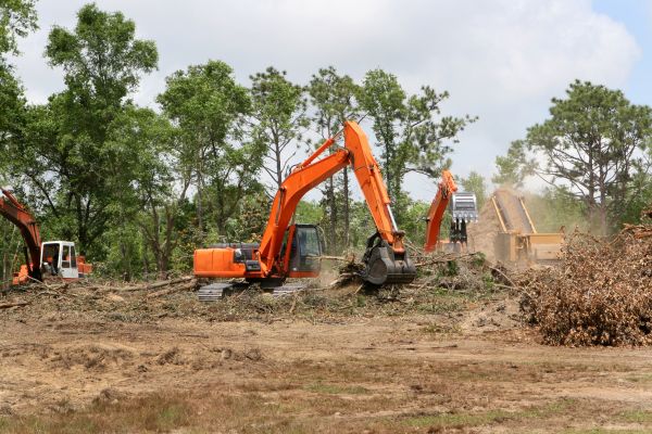 Commercial Lot Clearing in Hollywood
