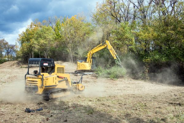 Terrain Clearing in Hollywood